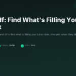 du and df: Find What’s Filling Your Disk on Linux